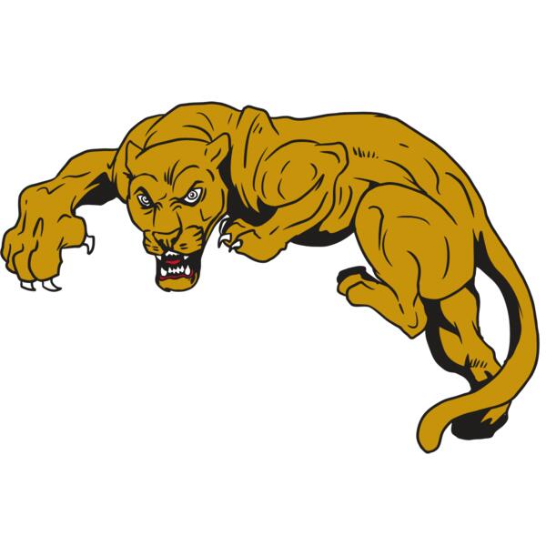 AR10 PANTHER 02 RQC Thumbnail