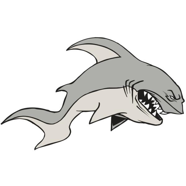 AR5 Shark 10 RQC Thumbnail