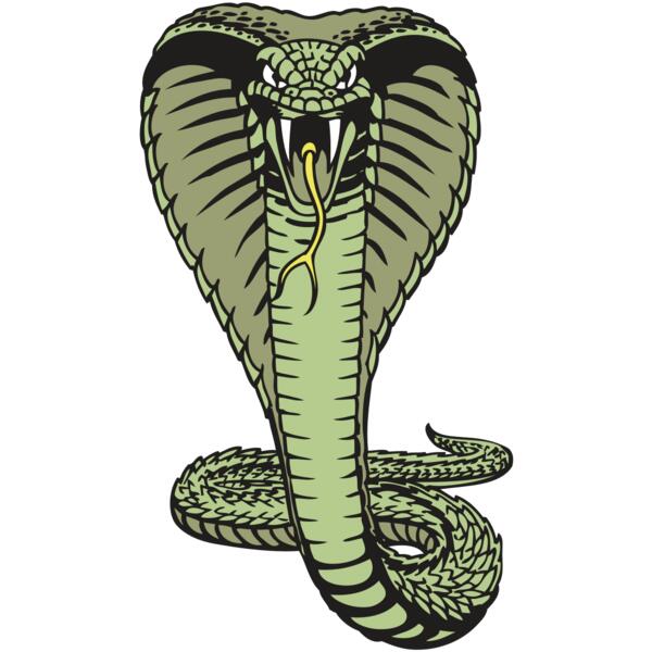 BAW SNAKE 15 RC Thumbnail